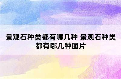 景观石种类都有哪几种 景观石种类都有哪几种图片